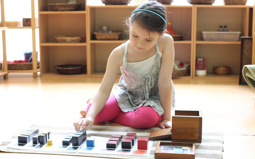 Some Basic Information That Every Montessori Parent Should Know