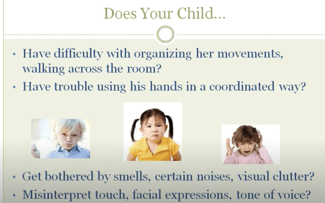 Webinar:  Children with Sensory Processing Issues
