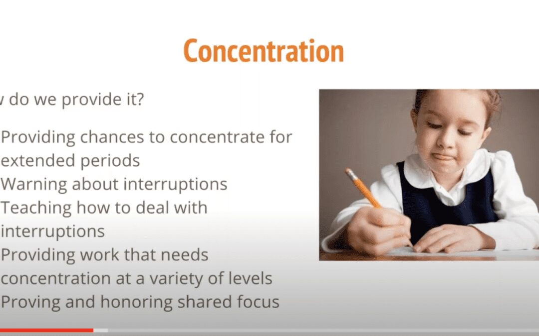 Webinar:  OCCI (Order, Concentration, Coordination, and Independence) in the Elementary Years