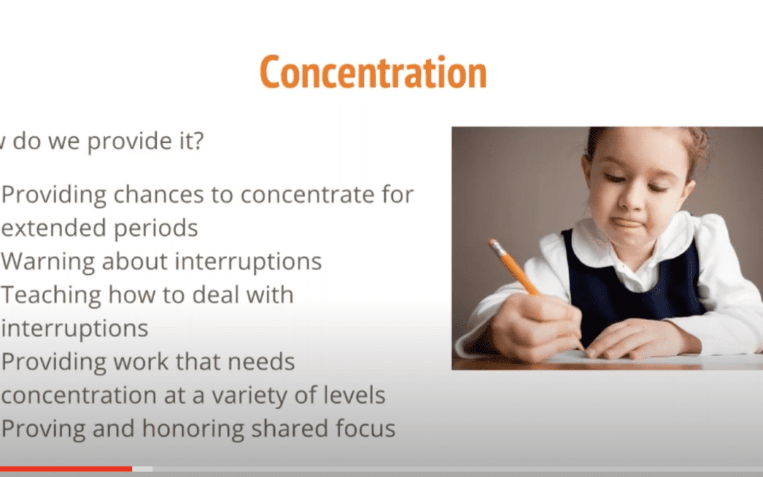 Webinar: OCCI (Order, Concentration, Coordination, and Independence) in the Elementary Years