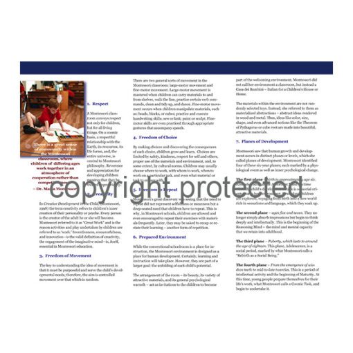 Pamphlet - Ten Essential Montessori Principles - Image 3