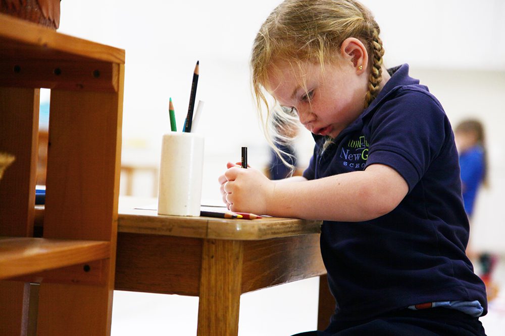 Help! My Montessori School Wants to Normalize My Child!