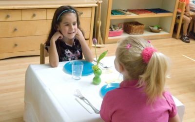 Toward Best Practice: The Exercises of Practical Life