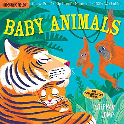 Book Review:  Baby Animals & Things That Go