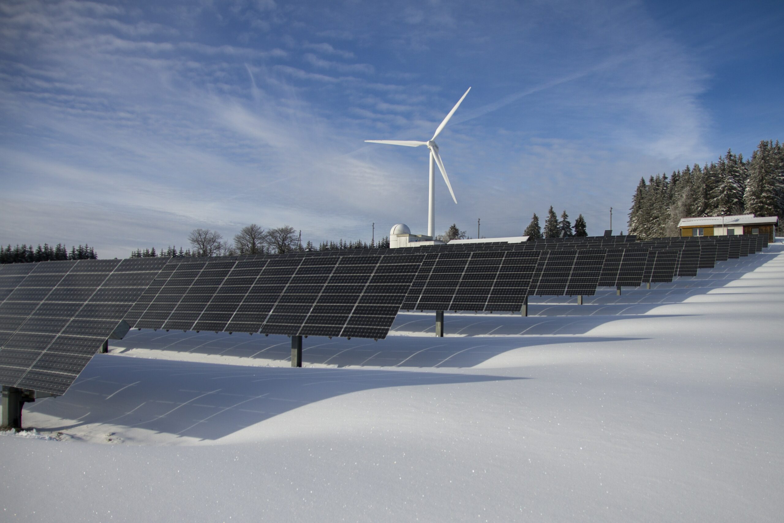 Harvard University’s Top 10 Home Energy Saving Tips