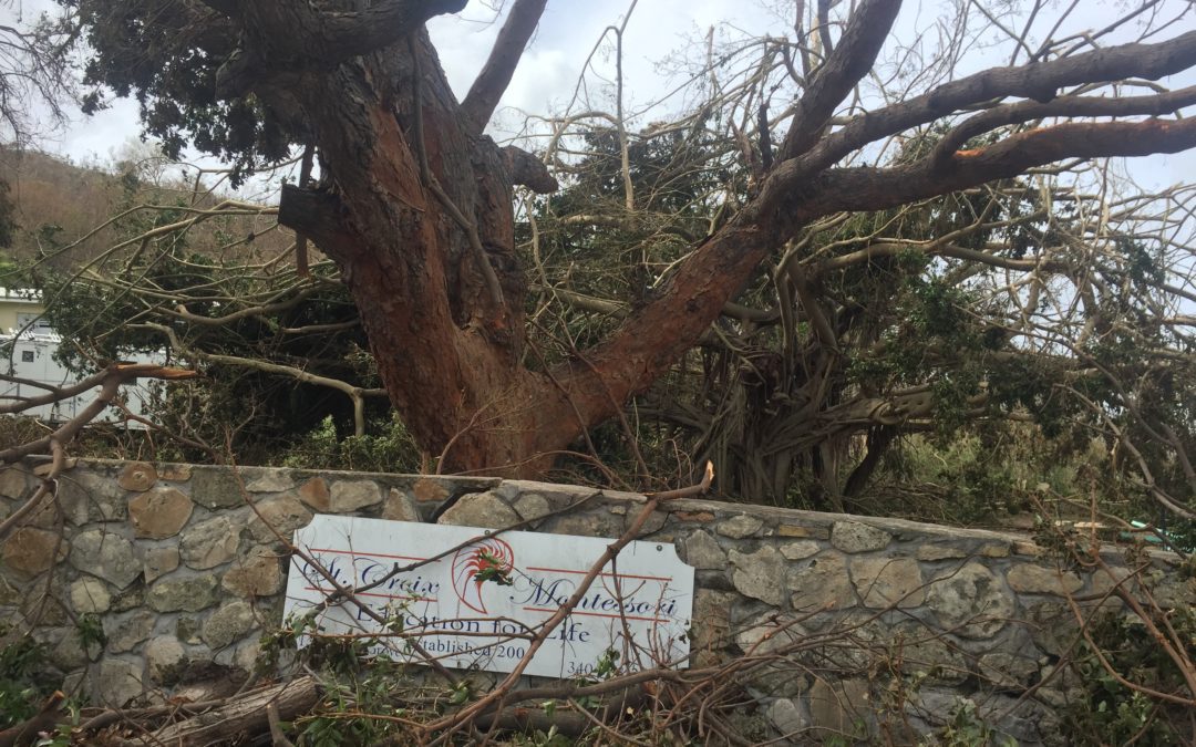 Moving Forward After Hurricane Maria