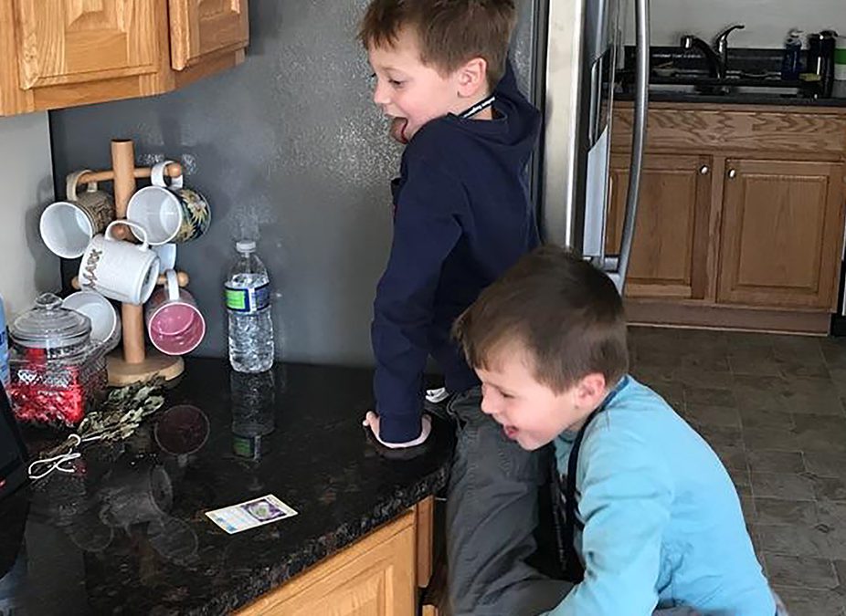 Stopping the Constant Sibling Squabbles 