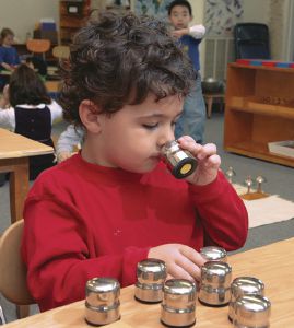 A Tour of a Montessori Classroom: Lessons in Sensory Perception
