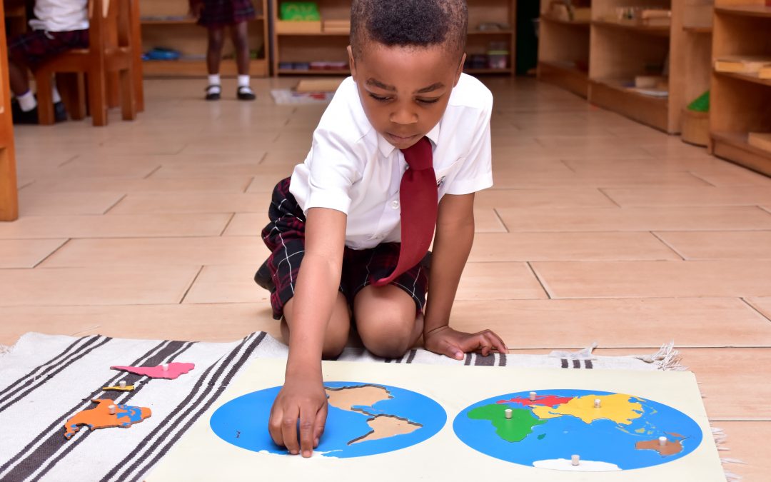 Montessori and Advocacy: Next Steps