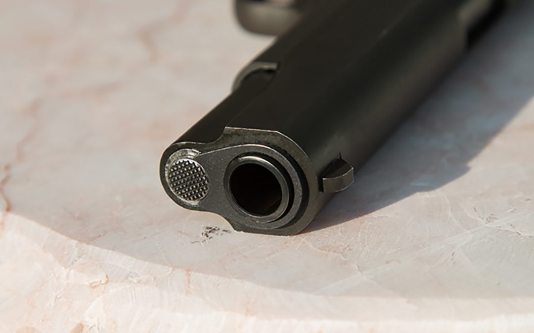 Would You Ask Parents if They Own Guns before Okaying a Playdate?