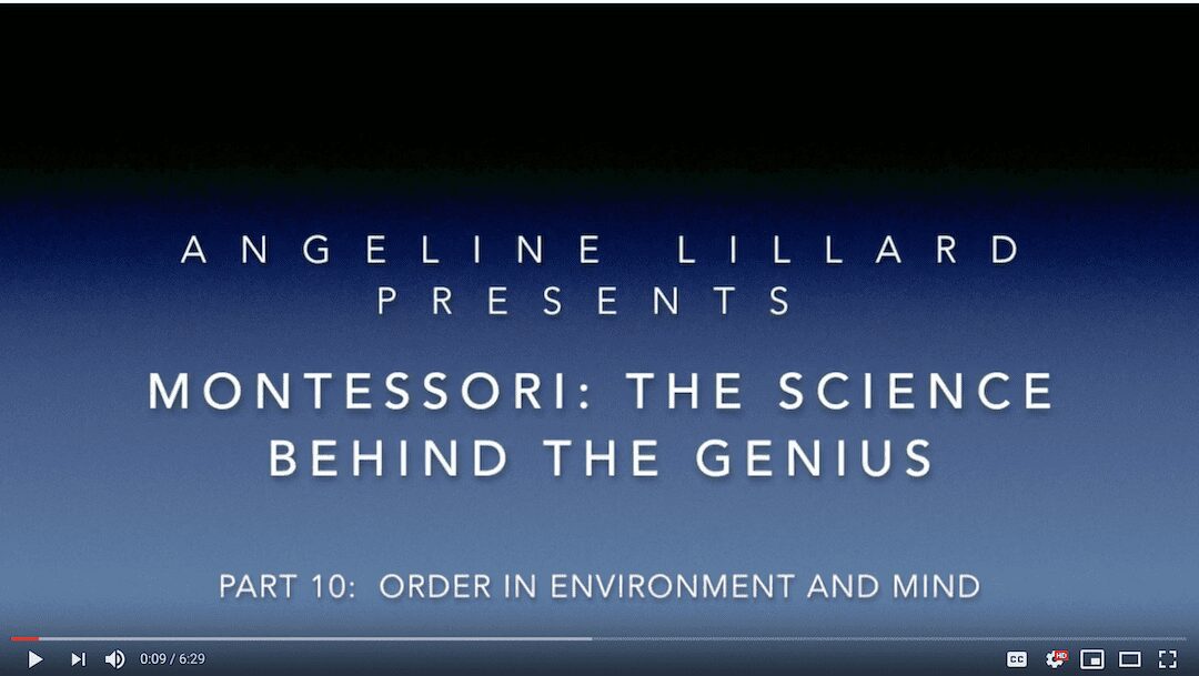 Montessori: The Science — Part 10: Order in the Environment and Mind