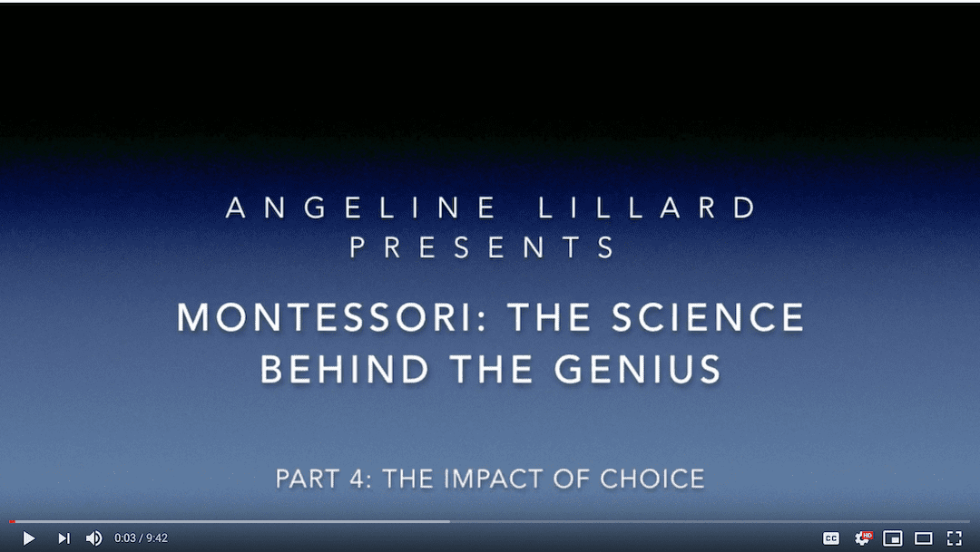 Montessori: — The Science Part 4: The Positive Impact of Choice