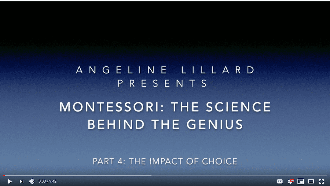 Montessori: — The Science  Part 4: The Positive Impact of Choice