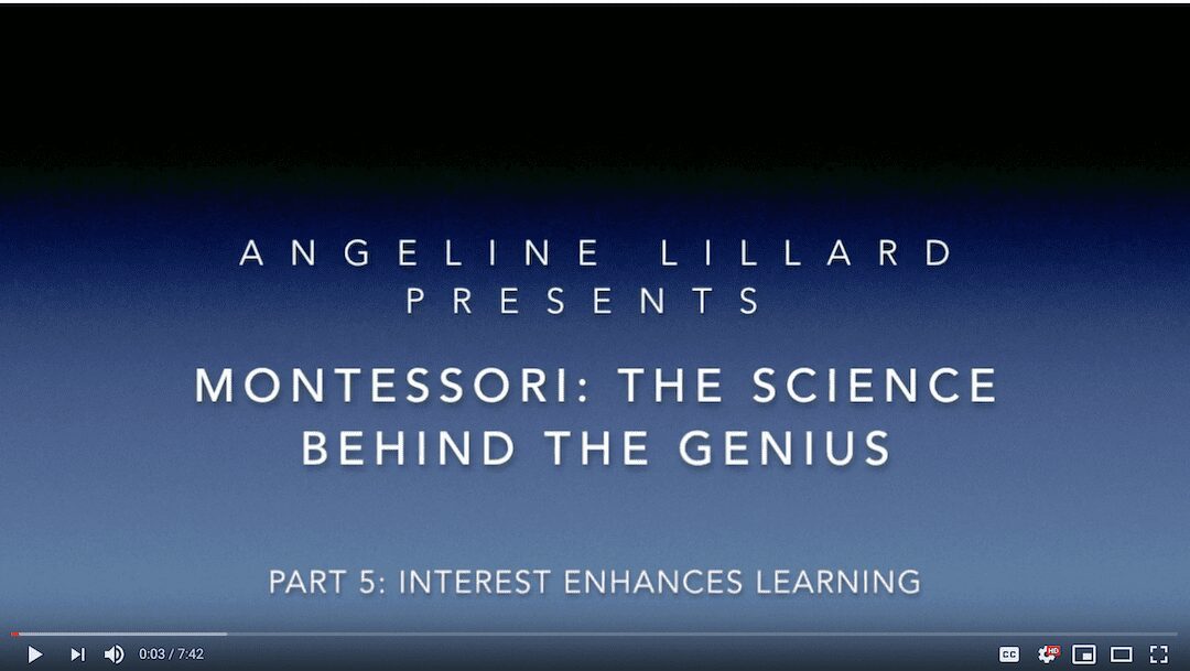 Montessori: The Science — Part 5: Interest Enhances Learning