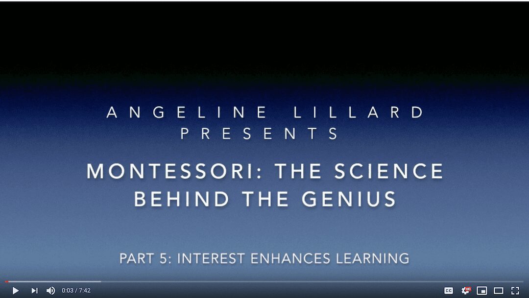 Montessori: The Science — Part 5: Interest Enhances Learning