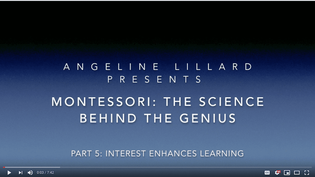Montessori: The Science — Part 5: Interest Enhances Learning