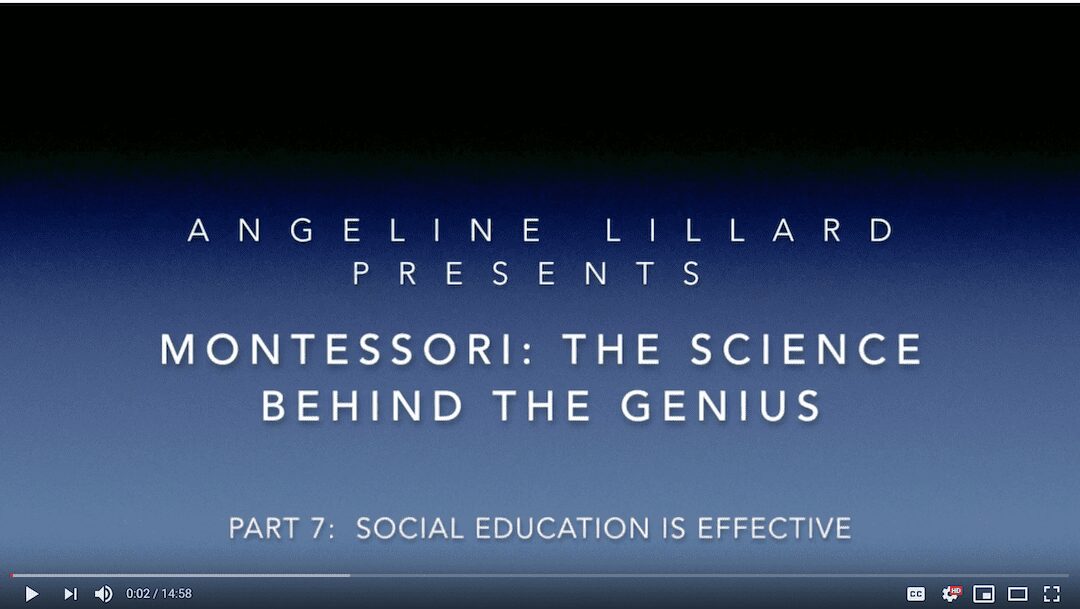 Montessori: The Science — Part 7: Social Education is Effective