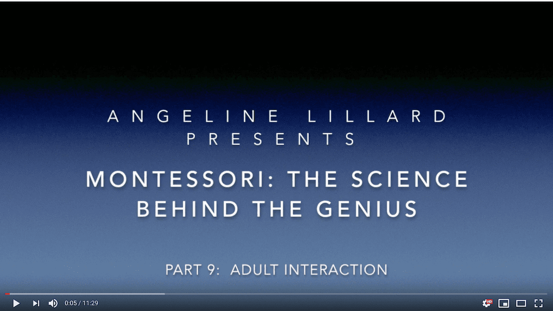 Montessori: The Science — Part 9: Positive Adult Interaction