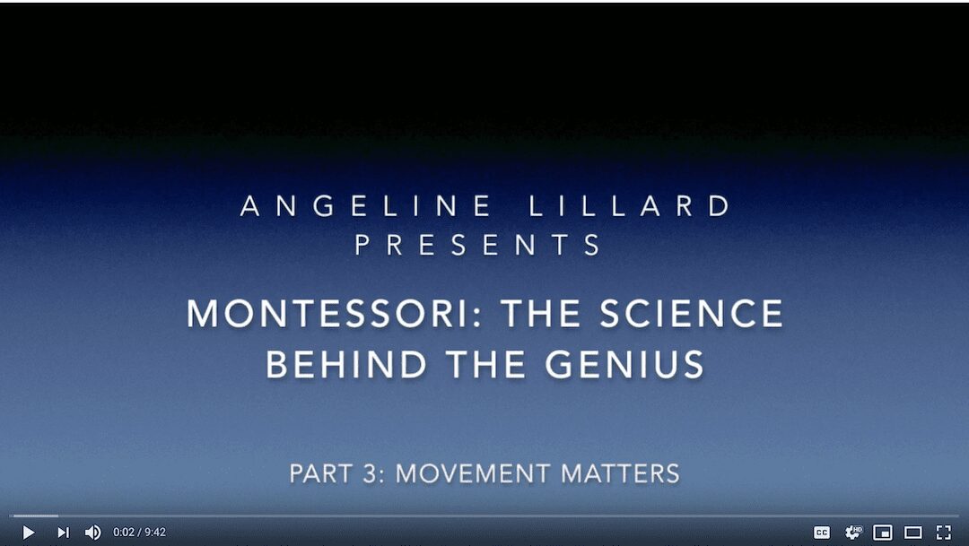 Montessori: The Science — Part 3: Movement Matters
