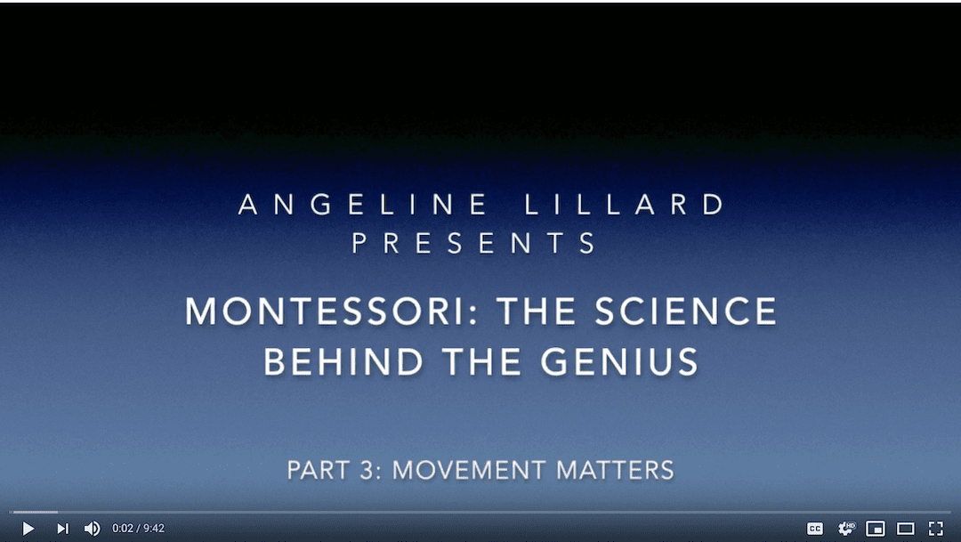 Montessori: The Science — Part 3: Movement Matters