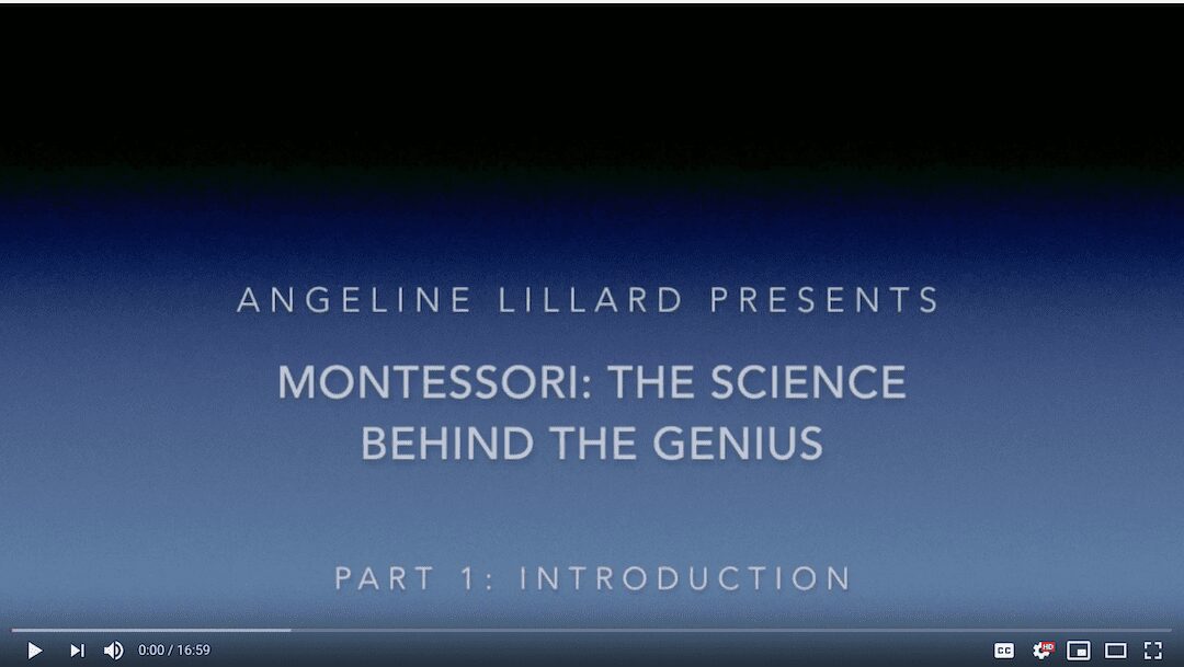 Video: Montessori – The Science — Part 1: Introduction to Montessori Education