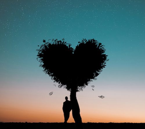silhouette-photo-of-man-leaning-on-heart-shaped-tree-744667 copy tree