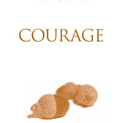 The Self-Awakened Child - Courage, eBook by Jonathan Wolff