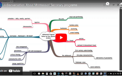 A Conversation About Montessori Secondary programs