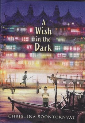 Book Review:  A Wish In The Dark