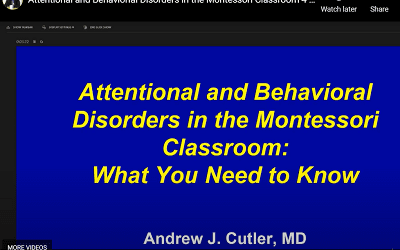 Attentional & Behavioral Disorders in the Montessori