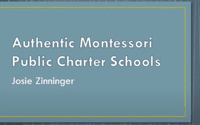 Fully Implemented Public and Charter Montessori Schools