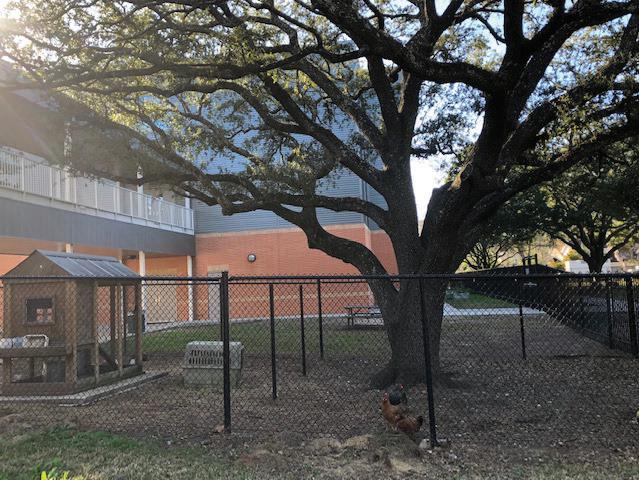 Spotlight on One of Our IMC Accredited Schools: Garden Oaks Montessori
