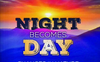 cover night becomes day