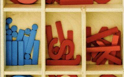 moveable alphabet in the box