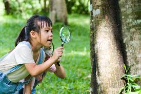 Summer Survival Guide  Balancing Fun and Learning with Engaging Science Activities