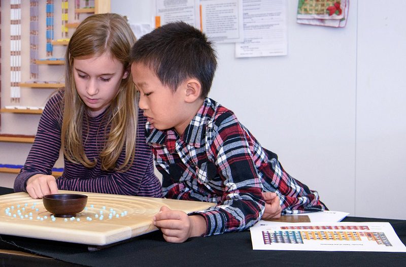Joyful Learning: Montessori for the Elementary Years