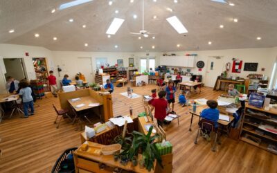 The Repaired Environment: Caring for our Buildings, Grounds and Infrastructure