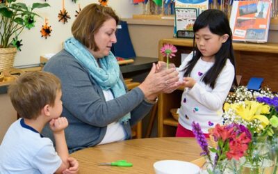 The Peace Rose: A Priceless Gift… from the Dollar Store!