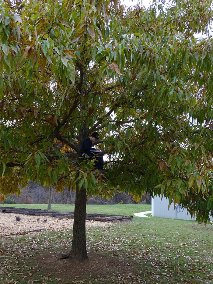 Reading in a Tree