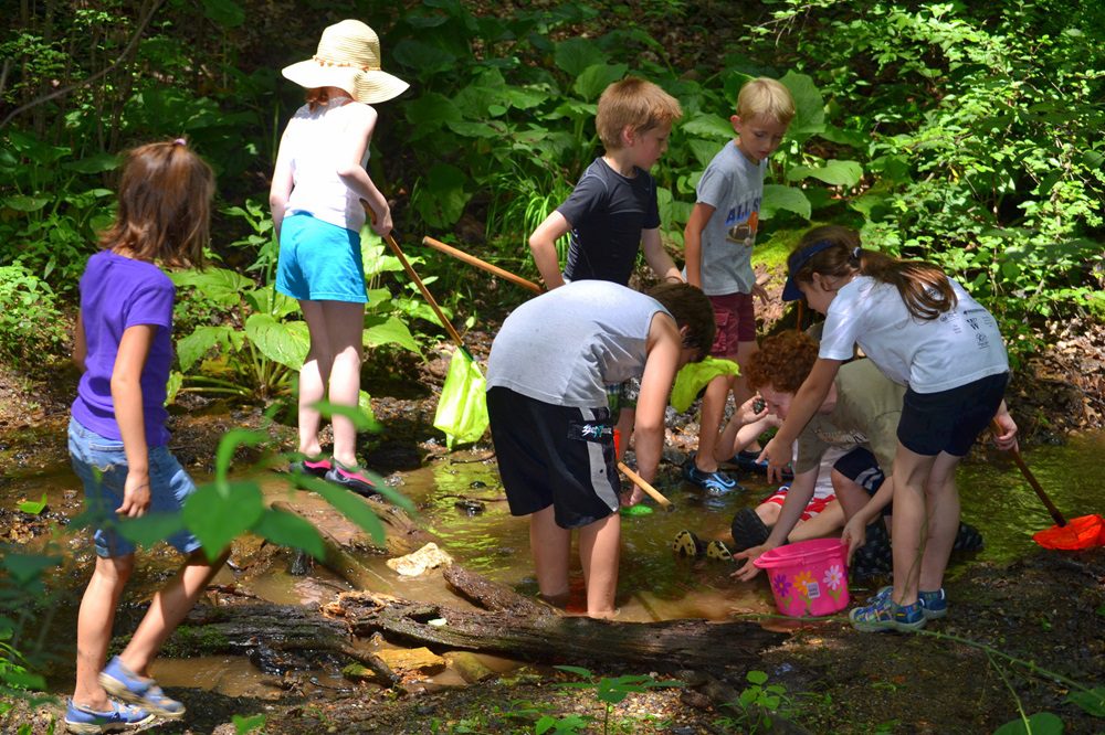 Stream Exploration 2