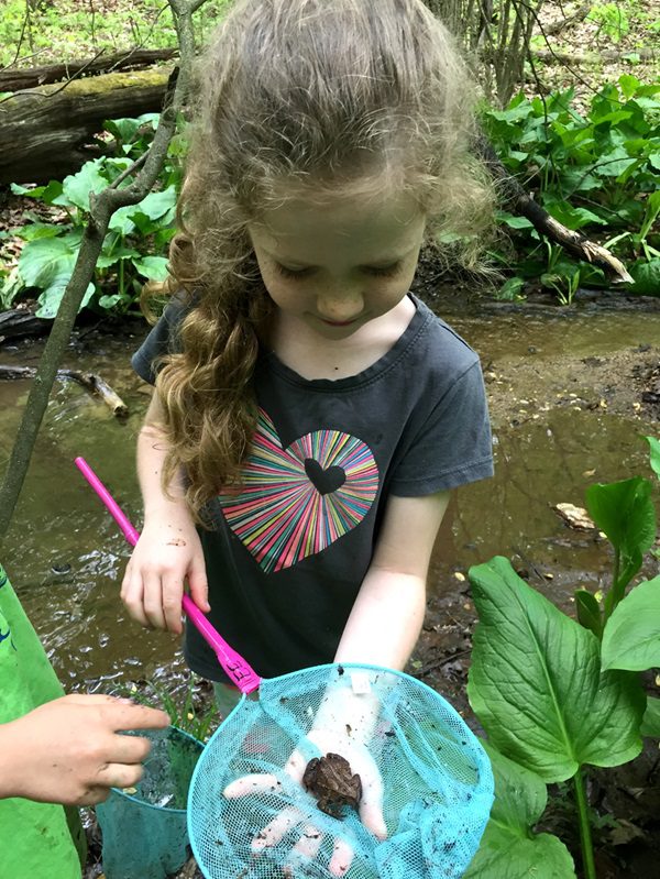 Stream Exploration C Bain