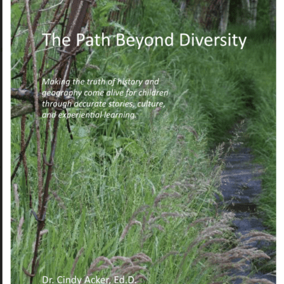 The Path Beyond Diversity