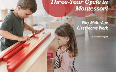 Understanding the three-year cycle in montessori