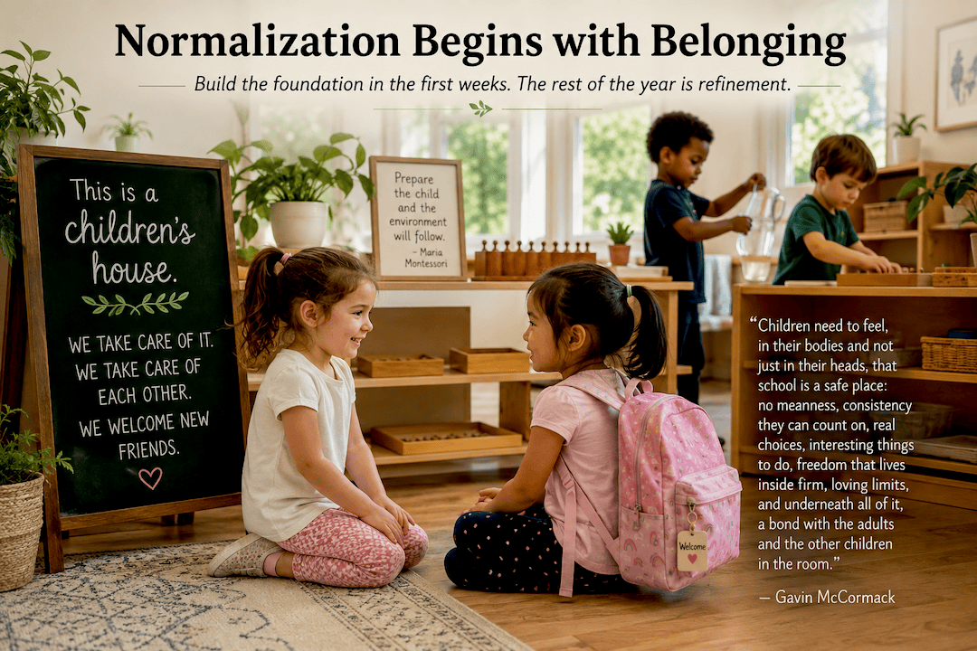 normalized class