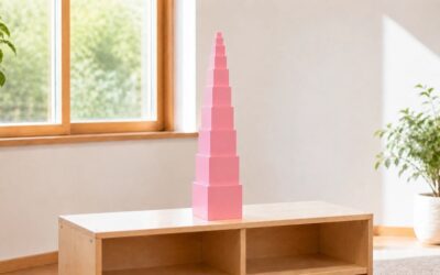 Those Mysterious Montessori Materials: The Pink Tower
