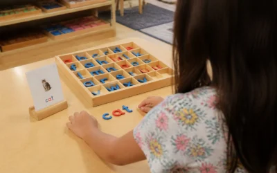 But My Child Already Knows That , Why Repetition Matters